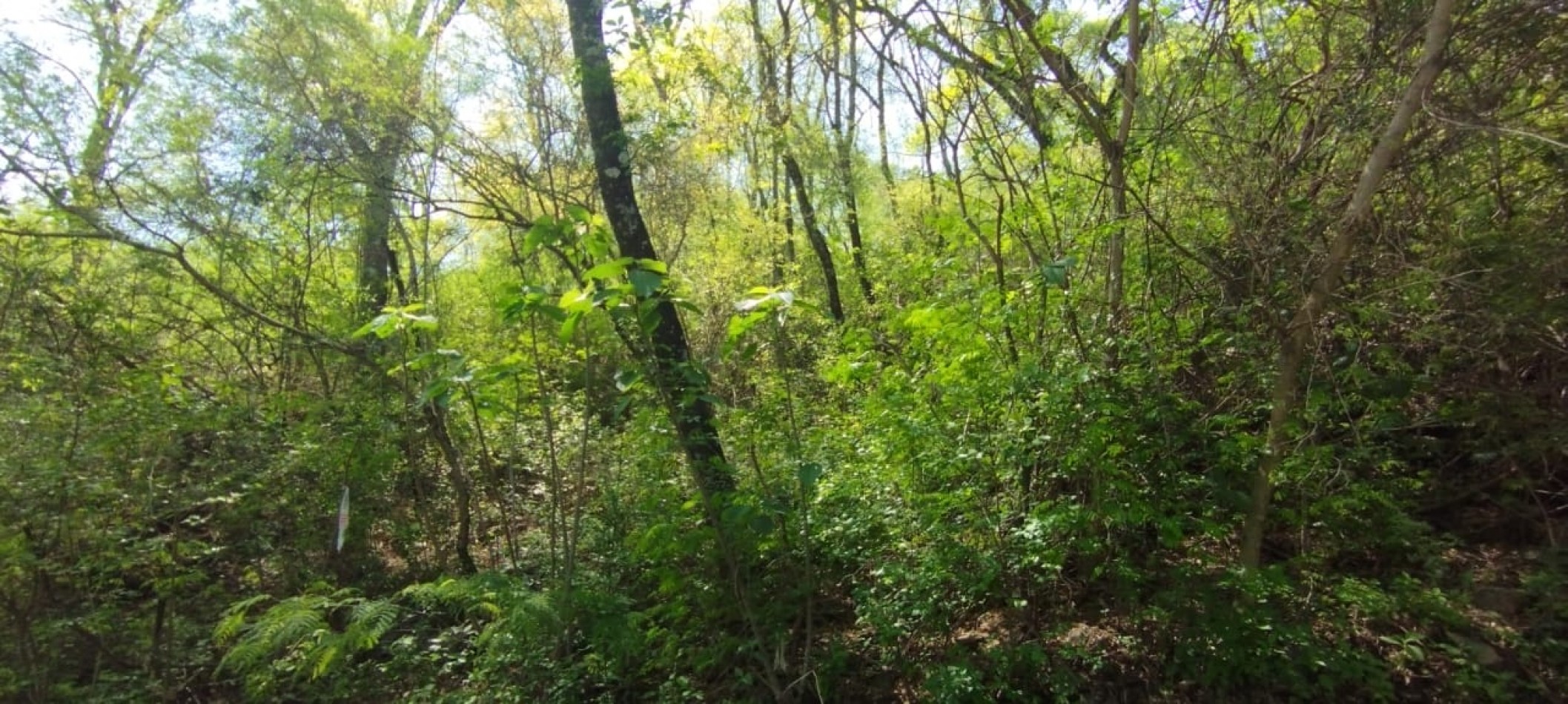 TERRENO EN VALLE HERMOSO- LA CALDERILLA 