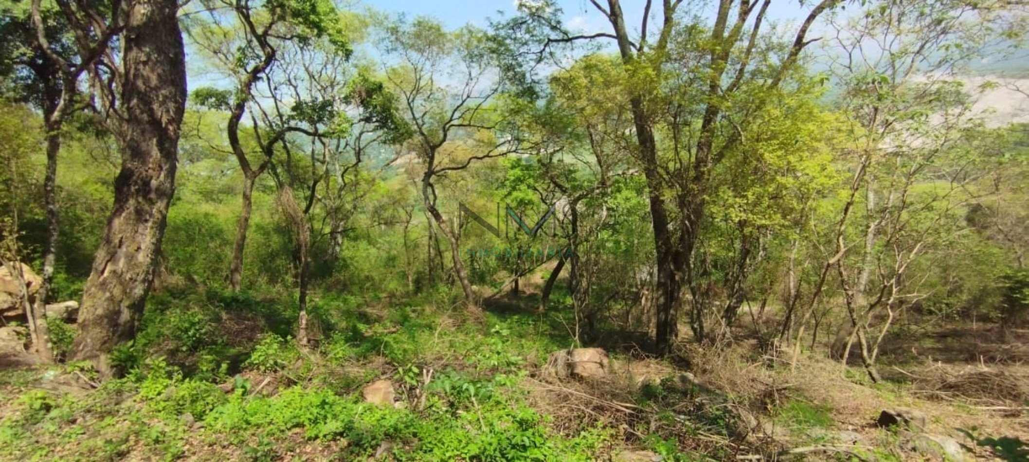 Vendo Terreno en Valle Hermoso