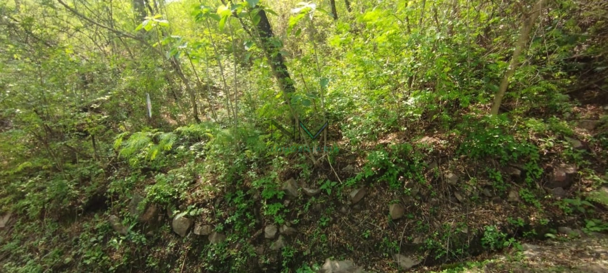 Vendo Terreno en Valle Hermoso