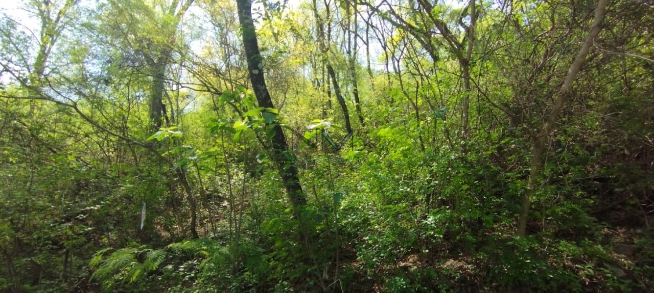 Vendo Terreno en Valle Hermoso