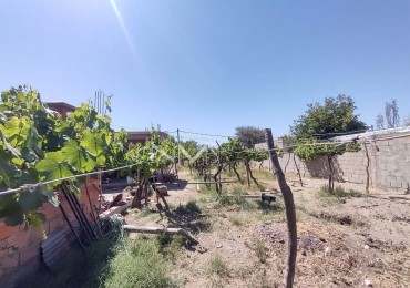 VENTA DE TERRENO, UBICADO EN BANDA DE ABAJO - CAFAYATE