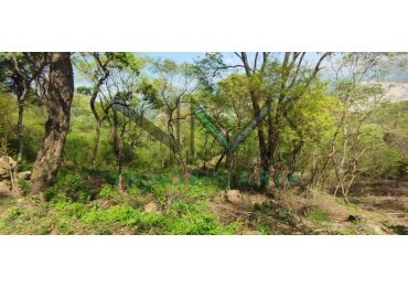 Vendo Terreno en Valle Hermoso 